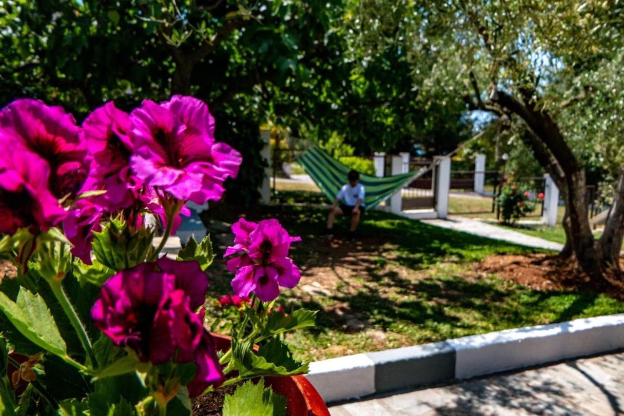 Small Paradise Nikiti  Exterior foto